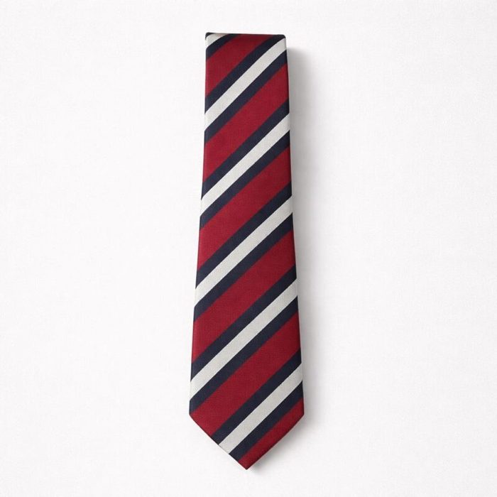 Mens Classic Striped Tie Pocket Square Set Red Navy Blue White