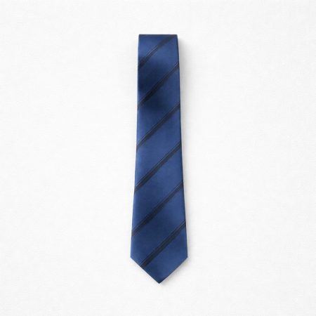 Classic Striped Tie and Pocket Square Set For Men - Royal Blue